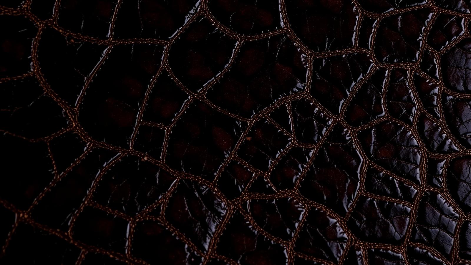 Close-up of crocodile leather scale texture